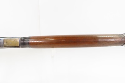 Game Scene Engraved Antique WINCHESTER M1873 Lever Action Rifle .44-40 WCFWith Cody Letter; Made 1886 New Haven - Image 8 of 24