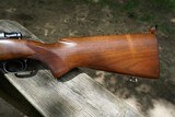 Winchester Model 70 257 Roberts 1948 - 9 of 15