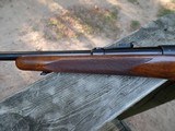 Winchester Model 70 Pre 64 22 Hornet Near Mint - 8 of 16