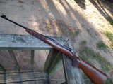 Winchester Model 70 Pre 64 22 Hornet Near Mint - 5 of 16