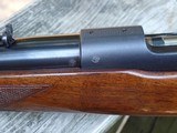 Winchester Model 70 Pre 64 22 Hornet Near Mint - 10 of 16