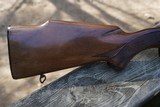 Winchester Model 70 243 win Varmint - 3 of 18