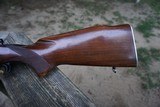 Winchester Pre 64 Model 70 243 win Featherweight 1955 - 8 of 15