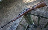 Winchester Model 70 257 Roberts 1950 Unfired Investment Quality - 8 of 20