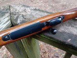 Pre 64 Winchester Model 70 .243 Standard weight Ex Original Condition - 11 of 14