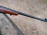 Pre 64 Winchester Model 70 .243 Standard weight Ex Original Condition - 5 of 14