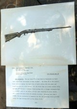 5 Winchester 