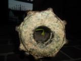ORIGINAL Portugees antique bronze cannon - 9 of 12