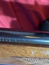 REMINGTON 700
.17 REMINGTON CAL. - 7 of 20