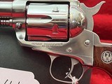RUGER - 19 of 20
