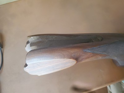 Beretta stock 12 ga 686 or any 680 series - Image 4 of 4