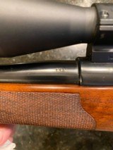 Mauser sporter Douglas barrel .243 - original owner. - 10 of 15