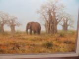 Sue Casson Original Oil Elephant Scene Painting - 3 of 4