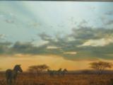 Sue Casson Original Oil Zebra Scene Painting - 4 of 4