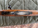 Winchester Model 70 old Varmit Rig - 8 of 14