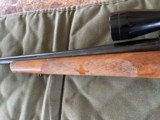Winchester Model 70 old Varmit Rig - 9 of 14