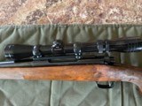 Winchester Model 70 old Varmit Rig - 13 of 14