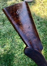 Very Fine Factory Engraved Colt Double Barrel 10 Gauge Shotgun - 10 of 15