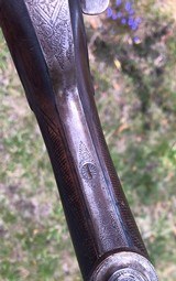 Antique High Grade Side Lever Engraved 10 Gauge Shotgun - 6 of 15
