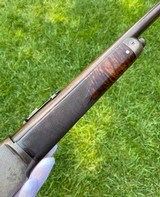 Scarce Winchester Model 1876 Deluxe 50 Express Short Rifle - 3 of 15