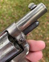 Antique Colt Model 1877 Thunderer Sherriff's Model Revolver w/ Alameda County Sherriff's Holster - 13 of 20