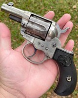 Antique Colt Model 1877 Thunderer Sherriff's Model Revolver w/ Alameda County Sherriff's Holster - 1 of 20