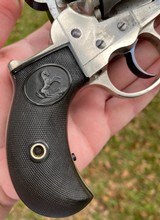 Antique Colt Model 1877 Thunderer Sherriff's Model Revolver w/ Alameda County Sherriff's Holster - 11 of 20