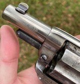 Antique Colt Model 1877 Thunderer Sherriff's Model Revolver w/ Alameda County Sherriff's Holster - 4 of 20