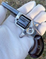 Scarce Very Fine Cased 2 Tone Colt New Line Revolver - 2 of 17