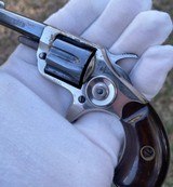 Scarce Very Fine Cased 2 Tone Colt New Line Revolver - 3 of 17