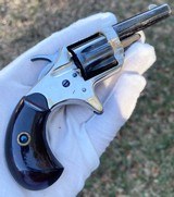 Scarce Very Fine Cased 2 Tone Colt New Line Revolver - 8 of 17