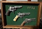 Instant Collection Framed Display of 3 Belgian Pinfire Pistols - Engraved and Ivory Grips