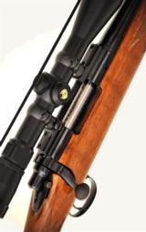 REMINGTON 700 BDL .243 WITH NIKON MONARCH 3--9X40 BDC - 4 of 4