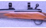 Winchester Model 70 Custom ~ .300 H&H Mag. - 7 of 9