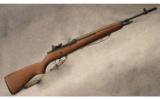 Springfield M1A - 1 of 7