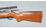 Winchester Model 52 in .22 lr Bolt Action - 7 of 9