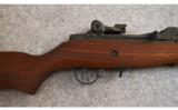 Springfield US Rifle M1A in 7.62x51mm - 2 of 9