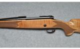 Winchester Model 70 in 308 Win - 4 of 9