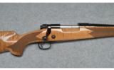 Winchester Model 70 in 308 Win - 2 of 9