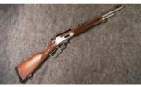 Marlin ~ 1895GS ~ .45-70 - 1 of 9