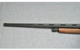 Winchester ~ SXP ~ 12 Ga - 7 of 9