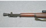 Springfield ~ M1D (Sniper) ~ 30M1 - 7 of 9