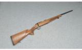 Steyr Arms ~ ZRII ~ 17 HMR - 1 of 9