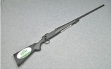 Remington ~ 700 ~ 300 Win Mag - 1 of 10