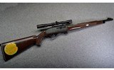 Remington ~ Nylon 77 ~ .22 LR - 1 of 13