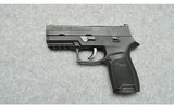 Sig Sauer ~ P250 ~ .357 Sig - 2 of 2