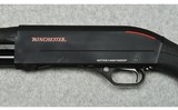 Winchester ~ SXP ~ 12 Gauge - 7 of 10
