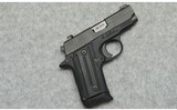 SIG Sauer ~ P238 ~ .380ACP - 1 of 2