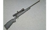 Remington ~ 700 ~ .25-06 Remington - 1 of 11