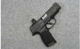 Sig Sauer ~ P365 XL ~ 9 mm - 1 of 2
